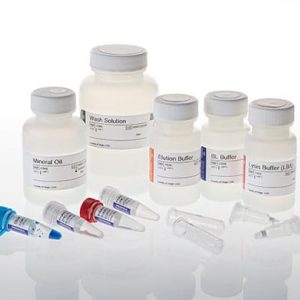 ReliaPrep(TM) FFPE gDNA Miniprep System, 10 Reactions