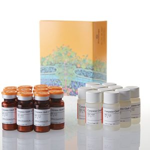 Caspase-Glo(R) 3/7 Assay, 10 x 10ml