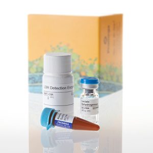 LDH-Glo(TM) Cytotoxicity Assay, 10 ml