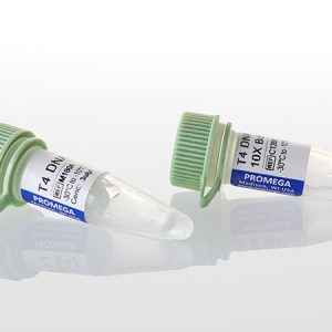 Promega- T4 DNA Ligase, 100U (-20°C)